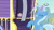 Size: 1280x720 | Tagged: safe, screencap, hoo'far, trixie, pony, saddle arabian, unicorn, road to friendship, animated, duo, female, male, mare, sound, stallion, trixie's wagon, webm