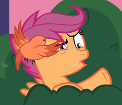Size: 825x711 | Tagged: safe, screencap, constance, scootaloo, bird, pony, g4, marks for effort, angry, cropped, cute, duo, faic, female, filly, flying, pain, wings