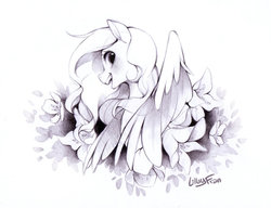 Size: 1020x784 | Tagged: source needed, safe, artist:lillayfran, oc, oc only, oc:arvensis, pegasus, pony, black and white, blushing, colored wings, colored wingtips, female, flower, grayscale, happy, mare, monochrome, pencil drawing, simple background, smiling, solo, traditional art, white background