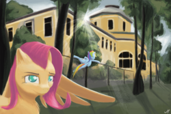 Size: 6000x4000 | Tagged: safe, artist:madgehog, fluttershy, rainbow dash, pegasus, pony, g4, female, looking at you, nature, russia, wings