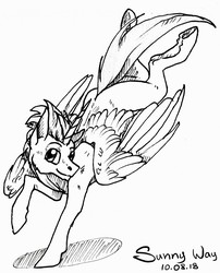 Size: 1034x1280 | Tagged: safe, artist:sunny way, oc, oc only, oc:dark star, alicorn, pony, rcf community, commission, feather, finished commission, horn, male, solo, stallion, traditional art, wings