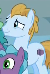 Size: 243x357 | Tagged: safe, screencap, fat stacks, opulence, earth pony, pony, friendship university, g4, background pony, cropped, cutie mark, las pegasus resident, male, solo focus, stallion