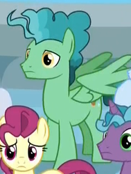 Size: 369x489 | Tagged: safe, screencap, fast break, pegasus, pony, friendship university, g4, background pony, cropped, las pegasus resident, male, solo focus, stallion