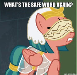 Size: 600x580 | Tagged: safe, edit, edited screencap, screencap, somnambula, pegasus, pony, g4, blindfold, bondage, caption, cropped, female, image macro, lip bite, mare, meme, memeful.com, raised hoof, safe word, solo, somnambula's blindfold