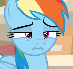 Size: 1136x1079 | Tagged: safe, screencap, rainbow dash, pegasus, pony, g4, the end in friend, bedroom eyes, bored, close-up, cropped, female, mare, raised eyebrow, reaction image