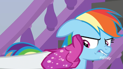 Size: 1920x1080 | Tagged: safe, screencap, rainbow dash, rarity, pegasus, pony, g4, the end in friend, boot, boots, discovery family logo, disgusted, female, floppy ears, glitter, glitter boots, legs, lip bite, mare, narrowed eyes, shoes