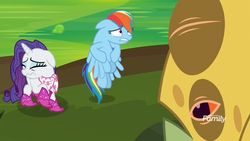 Size: 1920x1080 | Tagged: safe, screencap, rainbow dash, rarity, bufogren, pegasus, pony, unicorn, g4, the end in friend, boots, cowering, cringing, crying, discovery family logo, disgusted, female, glitter boots, grossed out, mare, messy mane, neckerchief, shoes