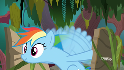 Size: 1920x1080 | Tagged: safe, screencap, rainbow dash, pegasus, pony, g4, the end in friend, boat, buzzing wings, discovery family logo, female, flapping, froggy bottom bog, mare, motion blur, raft, s.s. cragadile, smiling, solo, swamp, wings