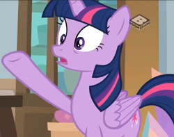 Size: 763x600 | Tagged: safe, screencap, twilight sparkle, alicorn, pony, g4, the end in friend, boomerang (tv channel), cropped, female, mare, raised hoof, solo, twilight sparkle (alicorn), worried