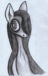 Size: 2183x3430 | Tagged: safe, artist:unhappy893, earth pony, pony, bust, high res, portrait, solo, traditional art