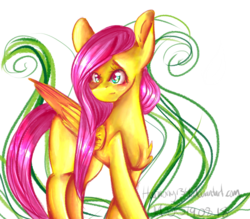 Size: 4000x3500 | Tagged: safe, artist:harmony134, fluttershy, pegasus, pony, g4, female, mare, signature, simple background, solo, transparent background