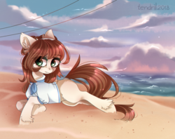 Size: 2247x1779 | Tagged: safe, artist:ten-dril, oc, oc only, earth pony, pony, beach, clothes, female, mare, prone, shirt, solo