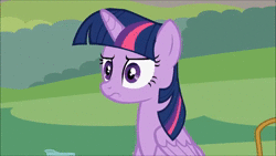 Size: 854x480 | Tagged: safe, artist:forgalorga, edit, twilight sparkle, alicorn, pegasus, pony, weird ponyville, g4, animated, behaving like a bird, dumb and dumber, female, mating call, most annoying sound in the world, sound, twilight sparkle (alicorn), webm