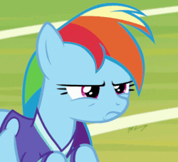 Size: 480x435 | Tagged: safe, edit, edited screencap, screencap, rainbow dash, pony, the end in friend, animated, cropped, facehoof, female, reaction image, solo