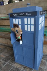 Size: 800x1200 | Tagged: safe, doctor whooves, time turner, bronycon, bronycon 2018, g4, clothes, cosplay, costume, doctor who, hand puppet, irl, photo, puppet, tardis, the doctor
