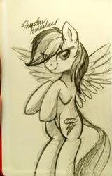 Size: 2881x4504 | Tagged: safe, artist:php97, rainbow dash, pony, g4, female, solo, traditional art