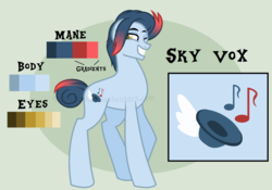 Size: 1472x1030 | Tagged: safe, artist:ipandacakes, oc, oc only, oc:sky vox, earth pony, pony, male, offspring, parent:toe-tapper, parent:torch song, parents:torchtapper, reference sheet, solo, stallion