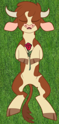 Size: 1914x4000 | Tagged: safe, artist:foolishvulture, edit, arizona (tfh), cow, them's fightin' herds, cloven hooves, community related, corpse, dead, eyes closed, female, flower, lying, lying in grass, missing accessory, on back, open mouth, simple background, solo, transparent background