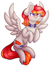 Size: 639x833 | Tagged: safe, artist:mewthebubble, oc, oc only, oc:arian blaze, pegasus, pony, angry, birb, collar, flying, scrunchy face, simple background, solo, transparent background