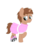 Size: 1500x1922 | Tagged: safe, artist:peternators, oc, oc only, pony, clothes, colt, crossdressing, cute, dress, male, simple background, solo, teenager, transparent background