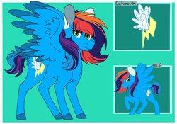 Size: 1024x715 | Tagged: safe, artist:colourstrike, oc, oc only, oc:glider, pegasus, pony, female, green background, mare, offspring, parent:rainbow dash, parent:soarin', parents:soarindash, reference sheet, simple background, solo, tail feathers