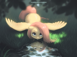 Size: 2528x1877 | Tagged: safe, artist:katputze, fluttershy, pegasus, pony, g4, beautiful, cute, drinking, female, grass, horses doing horse things, looking at you, looking up, mare, reflection, scenery, scenery porn, shyabetes, solo, spread wings, water, wings