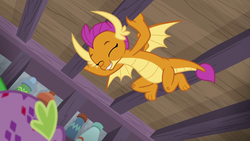 Size: 1920x1080 | Tagged: safe, screencap, smolder, spike, dragon, g4, molt down, amused, cute, dragoness, eyes closed, female, hanging, laughing, male, smiling, smolderbetes, stone scales