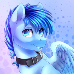 Size: 1300x1300 | Tagged: safe, artist:hakaina, oc, oc only, oc:happy dream, pegasus, pony, abstract background, bust, collar, ear fluff, looking at you, male, portrait, smiling, solo, spread wings, stallion, wings