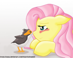 Size: 952x754 | Tagged: safe, artist:khaotixdreamfd, fluttershy, bird, pegasus, pony, porg, g4, blush sticker, blushing, duo, female, mare, nose to nose, signature, simple background, solo, star wars, star wars: the last jedi, white background