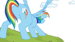 Size: 1280x720 | Tagged: safe, artist:skitea, rainbow dash, pony, g4, butt, female, plot, rainbutt dash, simple background, white background