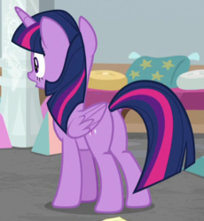 Size: 460x501 | Tagged: safe, screencap, twilight sparkle, alicorn, pony, g4, the end in friend, butt, cropped, female, mare, plot, solo, twilight sparkle (alicorn)