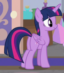 Size: 283x323 | Tagged: safe, screencap, twilight sparkle, alicorn, pony, g4, the end in friend, butt, cropped, female, mare, plot, smiling, twilight sparkle (alicorn)