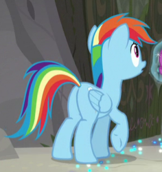 Size: 302x320 | Tagged: safe, screencap, rainbow dash, pegasus, pony, g4, the end in friend, butt, cropped, female, mare, plot, raised hoof, solo