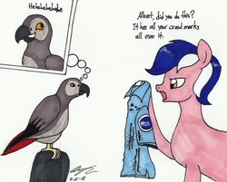 Size: 2192x1761 | Tagged: safe, artist:newyorkx3, oc, oc only, oc:mikey (legacy), bird, parrot, pony, african grey, clothes, dialogue, jacket, male, stallion, traditional art