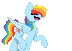 Size: 8185x5787 | Tagged: safe, artist:sadshilo, rainbow dash, pony, g4, absurd resolution, female, laughing, simple background, solo, transparent background