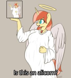 Size: 540x590 | Tagged: safe, artist:bumpywish, oc, oc only, oc:bumpy wish, angel, anthro, belly, big belly, female, halo, is this a pigeon, meme, pregnant, solo