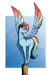 Size: 2392x3512 | Tagged: safe, artist:akweer, rainbow dash, pegasus, pony, g4, colored wings, colored wingtips, female, high res, looking back, mare, multicolored wings, rainbow wings, solo