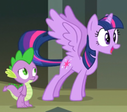 Size: 521x461 | Tagged: safe, screencap, spike, twilight sparkle, alicorn, dragon, pony, castle mane-ia, g4, adorkable, book, cropped, cute, dork, excited, eyes on the prize, faic, female, frown, happy, looking at butt, male, mare, open mouth, smiling, spread wings, standing, that pony sure does love books, twiabetes, twilight sparkle (alicorn), wide eyes, wingboner, wings, worried