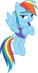 Size: 1771x3417 | Tagged: safe, artist:frownfactory, rainbow dash, pegasus, pony, g4, the end in friend, .svg available, clothes, crossed arms, cutie mark, female, half-closed eyes, mare, shirt, simple background, smug, solo, svg, transparent background, vector, wings