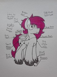 Size: 1928x2576 | Tagged: safe, artist:drheartdoodles, oc, oc only, oc:dr.heart, clydesdale, pony, anatomy, cute, huge, large, solo, tall, traditional art, unshorn fetlocks