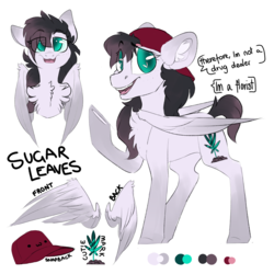 Size: 2100x2100 | Tagged: safe, artist:spoopygander, oc, oc only, oc:sugar leaves, pegasus, pony, chest fluff, coat markings, colored wings, female, hat, high res, looking at you, mare, markings, multicolored hair, multicolored wings, open mouth, reference sheet, simple background, smiling, socks (coat markings), solo, standing, text, underhoof, white background