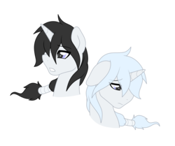 Size: 5750x4805 | Tagged: safe, artist:darkstorm mlp, oc, oc:wishing star, absurd resolution, black mane, simple background, transparent background, white mane