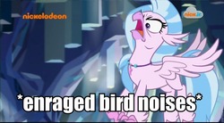 Size: 960x528 | Tagged: safe, edit, edited screencap, screencap, silverstream, classical hippogriff, hippogriff, g4, what lies beneath, angry, cute, descriptive noise, diastreamies, faic, female, image macro, logo, meme, nick jr., nickelodeon, rage, silverrage, solo