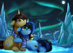 Size: 3094x2248 | Tagged: safe, artist:pridark, oc, oc only, oc:ethereal divide, oc:lunar flourish, pony, unicorn, aurora borealis, clothes, couple, glacier, high res, ice, looking up, night, romantic, scarf, scenery, shipping, snow, stars