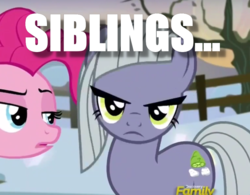 Size: 857x667 | Tagged: safe, edit, edited screencap, screencap, limestone pie, pinkie pie, g4, hearthbreakers, captain obvious, cropped, discovery family logo, image macro, looking at you, meme, unamused