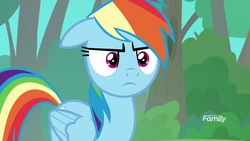 Size: 1920x1080 | Tagged: safe, screencap, rainbow dash, pony, g4, the end in friend, female, mare, solo