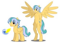Size: 1310x936 | Tagged: safe, artist:flash equestria photography, oc, oc only, oc:jet wave, pegasus, anthro, unguligrade anthro, anthro ponidox, cutie mark, reference sheet, show accurate anthro, simple background, spread wings, wings