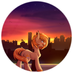 Size: 963x963 | Tagged: safe, artist:ak4neh, oc, oc only, oc:parlay, earth pony, pony, butt, city, female, mare, plot, solo, sunset