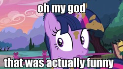 Size: 1280x720 | Tagged: safe, edit, edited screencap, screencap, twilight sparkle, alicorn, pony, castle sweet castle, g4, cloud, female, fence, fluttershy's cottage, image macro, mare, meme, mud, reaction image, shocked, solo, tree, twilight sparkle (alicorn)