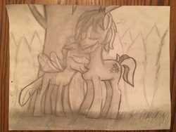 Size: 4032x3024 | Tagged: safe, artist:drawer450, ocellus, sandbar, changedling, changeling, earth pony, pony, fanfic:love letter, g4, eyes closed, female, male, ship:ocelbar, shipping, straight, traditional art